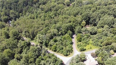 0 Wolf River Ln unit 62, Lake Lure, NC 28746 - photo 3