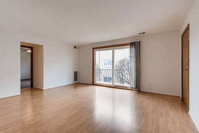 5739 W 63rd St unit 2S, Chicago, IL 60638 - photo 4