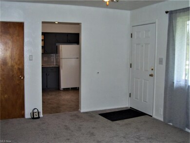 3827 Richlawn Rd, Richfield, OH 44286 - photo 3