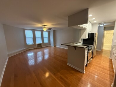 744 W Gordon Terrace unit 203, Chicago, IL 60613 - photo 4