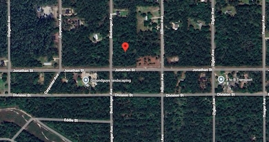 10720 Beckenger Ave, Hastings, FL 32145 - photo 2