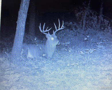 000 Mo-V, Union, MO 63084 - photo 7