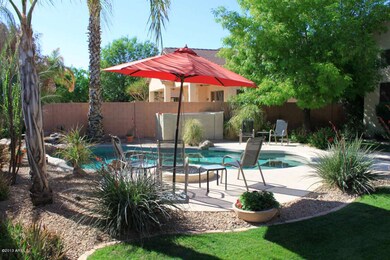 002 Backyard