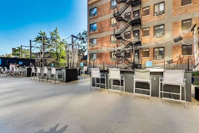 Park Place Tower unit 508, Chicago, IL 60613 - photo 5