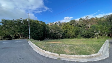 402 Km 3 9, Anasco, PR 00610 - photo 3