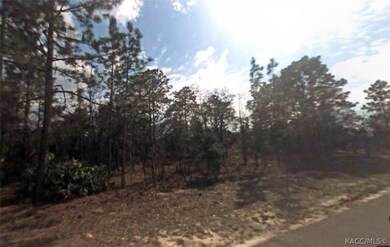 3198 W Marie Dr, Citrus Springs, FL 34433 - photo 2