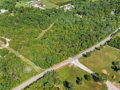 000 Newport, Walnut Shade, MO 65771 - photo 3