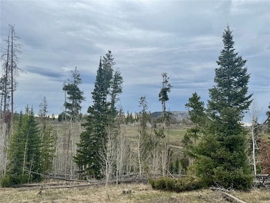 View of local wilderness