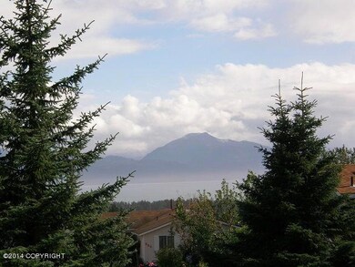 Kachemak Bay view