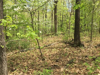 Lot 11 Ford Ln, Bella Vista, AR 72714 - photo 7