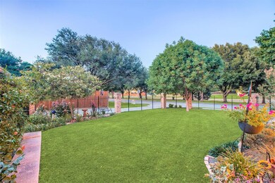 Back yard