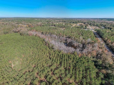 000 Avera Rd, Roberta, GA 31078 - photo 2