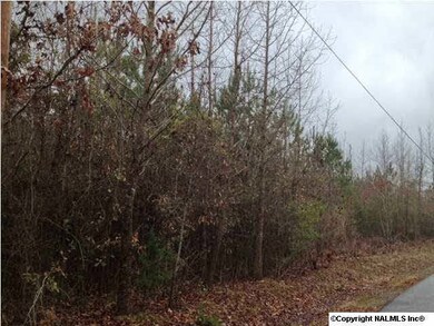 0 White Elephant Rd unit 724520, Grant, AL 35747 - photo 2