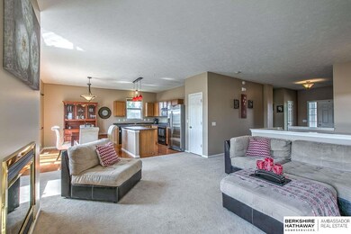 2209 S Mineral Dr, Papillion, NE 68046 - photo 4