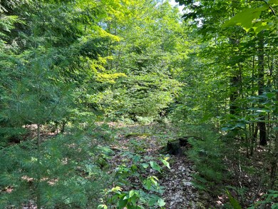 0 Morgan Meadows Dr, Gray, ME 04039 - photo 4