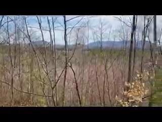 0 Oxen Pull Rd unit 1458442, Fryeburg, ME 04037 - photo 3