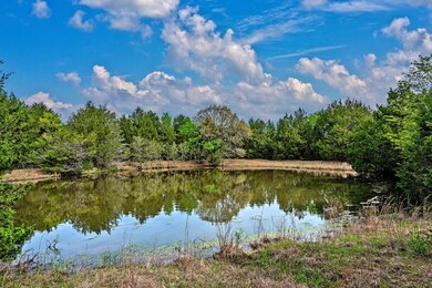 3428 Hwy 120 West Hwy W, Pottsboro, TX 75076 - photo 4