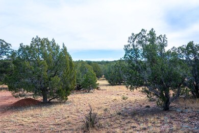 Loba Ln, Seligman, AZ 86322 - photo 7