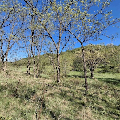 40 Acre unit Walnut Lane, Richland Center, WI 53581 - photo 4