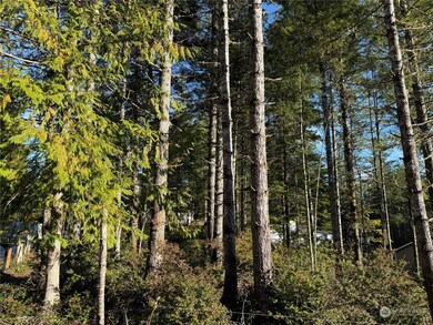 0 E Blackberry Ln, Union, WA 98592 - photo 5