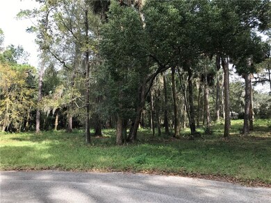 HIGH & DRY LOT IN NON-FLOOD ZONE