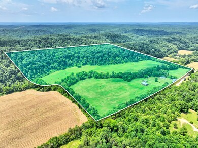 8318 Sinking Creek Rd, Linden, TN 37096 - photo 4