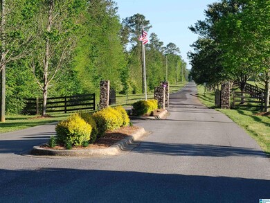 00 Cove Rd, Fayetteville, AL 35151 - photo 7