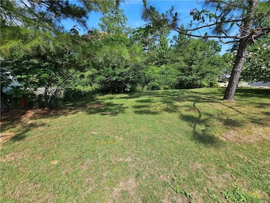 View of grassy yard