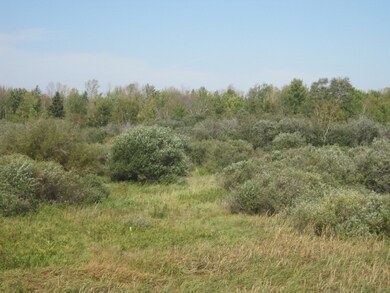 W10295 Badger Ave, Spencer, WI 54479 - photo 4