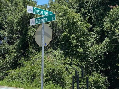 Street Signs - Intersection - Brogden/Cluster Oak