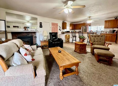 33 Mulberry St, Mimbres, NM 88049 - photo 4