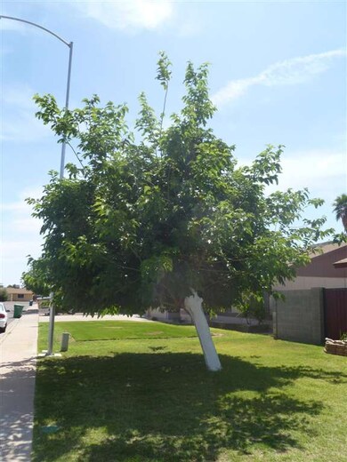 2519 E Impala Ave, Mesa, AZ 85204 - photo 2