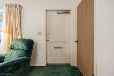 Entryway with dark carpet