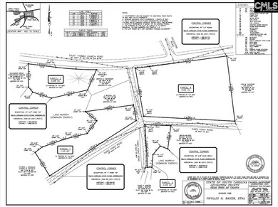 lot 2 Saint Thomas Church Rd, Chapin, SC 29036 - photo 7