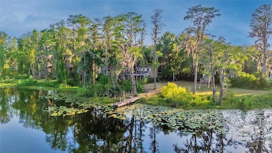 16213 Dew Drop Ln, Tampa, FL 33625 - photo 4