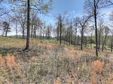 6 Arbor Creek Trail, Mineral Bluff, GA 30559 - photo 4