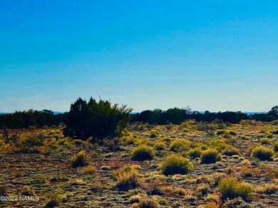 4117 Red Butte Rd unit Lot B, Williams, AZ 86046 - photo 4