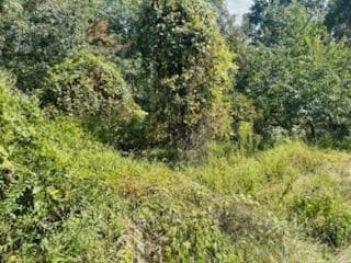 0 Eagle Ave, Wheeling, WV 26003 - photo 6