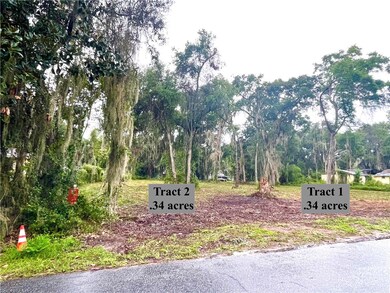 Tract 2 New River Rd, Darien, GA 31305 - photo 6