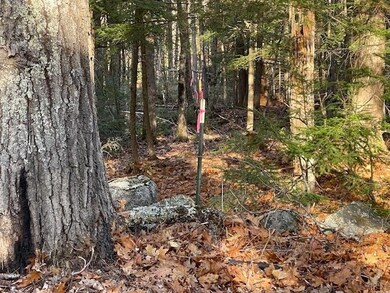 Left Corner Boundary on Lyford Rd.