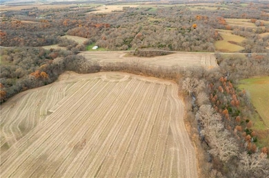 TBD SE Sparks Rd, Braymer, MO 64625 - photo 4