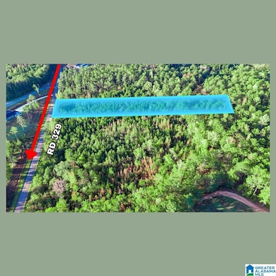 Tract 3B County Road 329, Wedowee, AL 36278 - photo 2