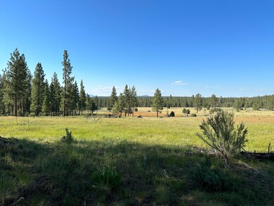 IMG_2868