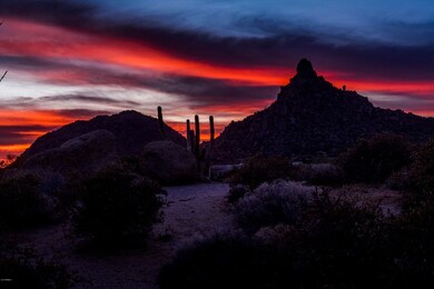 _MG_3423