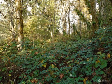 15419 296th St E, Graham, WA 98338 - photo 7