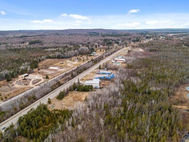 8503 S Us 31 Hwy, Alanson, MI 49706 - photo 5