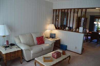 42 Irish Hills Blvd, Kimberling City, MO 65686 - photo 6