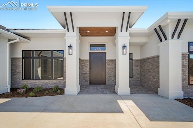 10 Ft tall Pivot Door