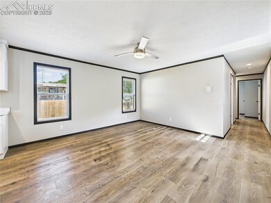 Living Room – Bright and spacious living area with wide plank flooring, sleek ceiling fan, and dual windows that bring in abundant natural light.