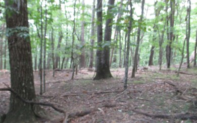 Additional View